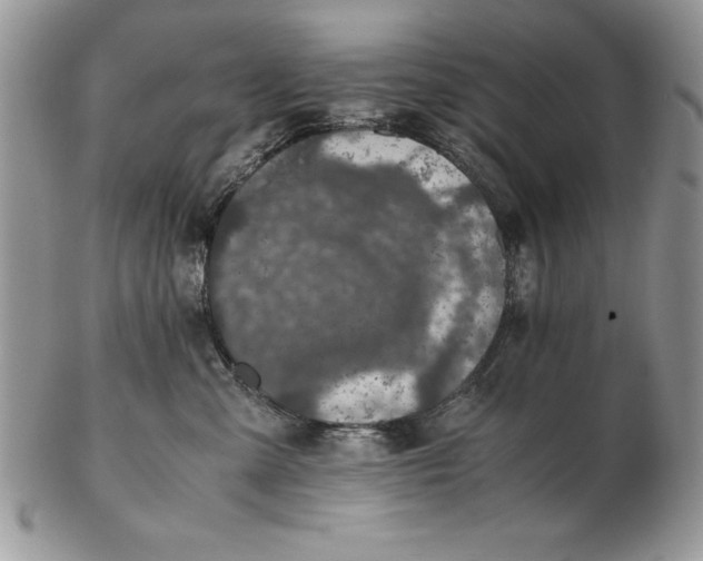 X0000102380427200808221806