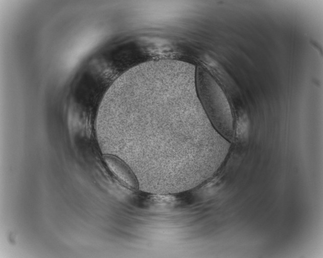 X0000102380429200808221806