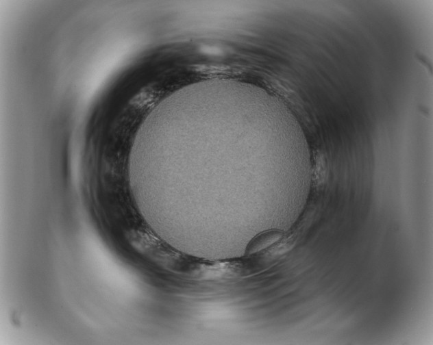 X0000102380430200808221806