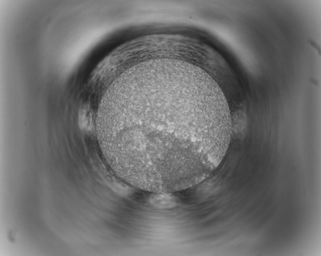 X0000102380431200808221806