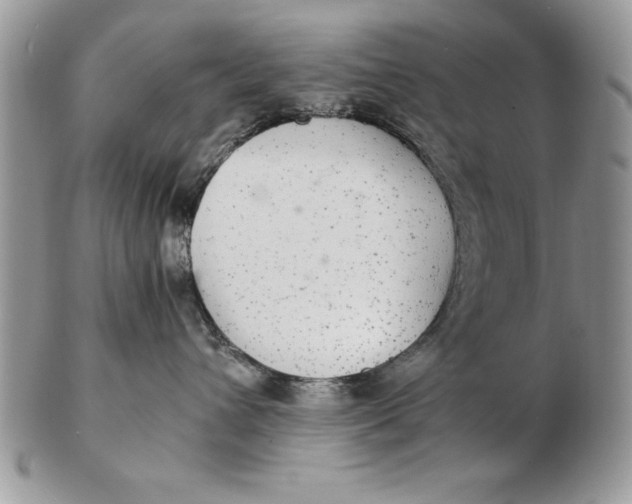 X0000102380432200808221806