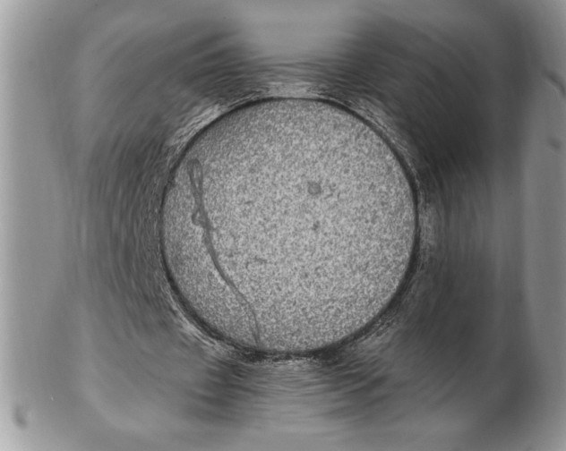 X0000102380433200808221805