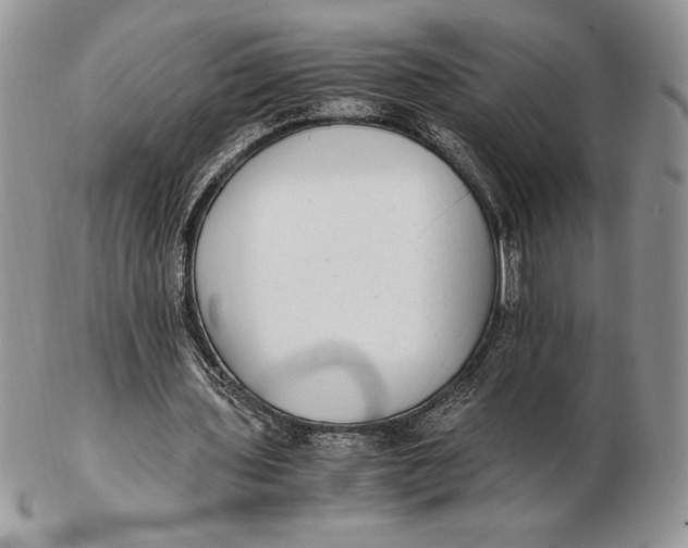 X0000102380435200808221805