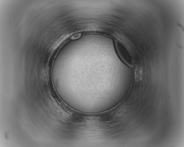 X0000102380436200808221805