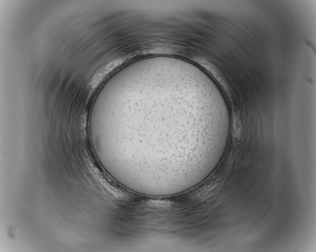 X0000102380437200808221805