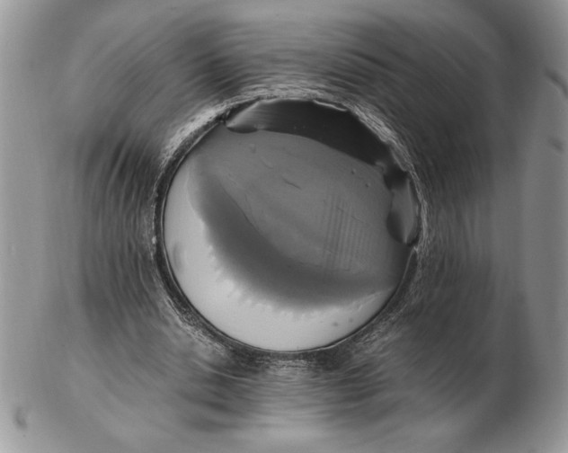 X0000102380438200808221805