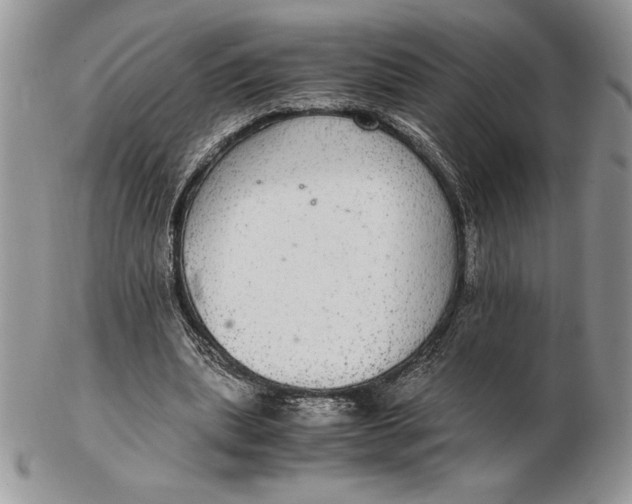 X0000102380439200808221805