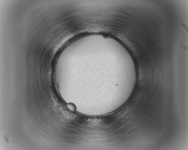 X0000102380440200808221805