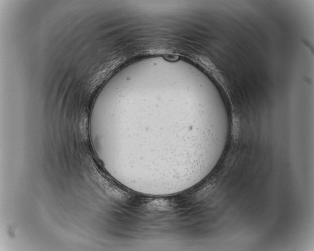 X0000102380441200808221805