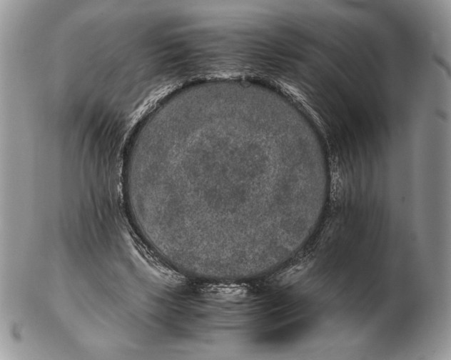 X0000102380443200808221805