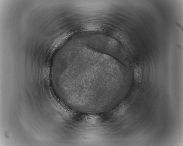 X0000102380444200808221805