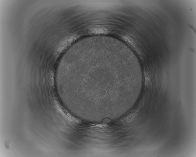 X0000102380447200808221805