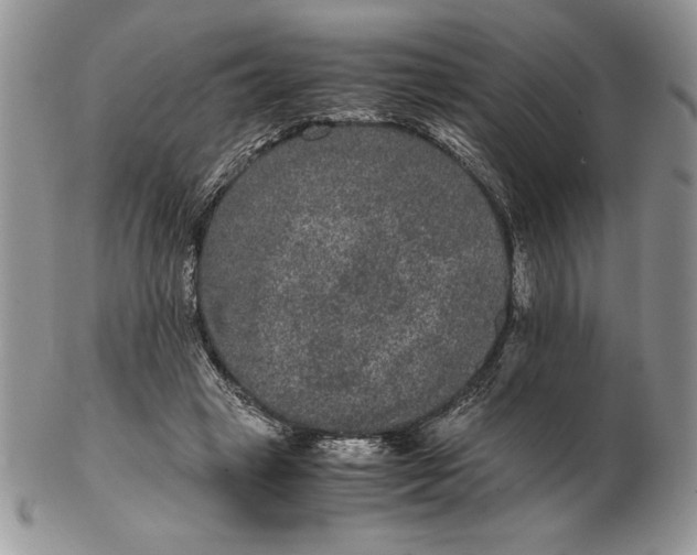 X0000102380449200808221806