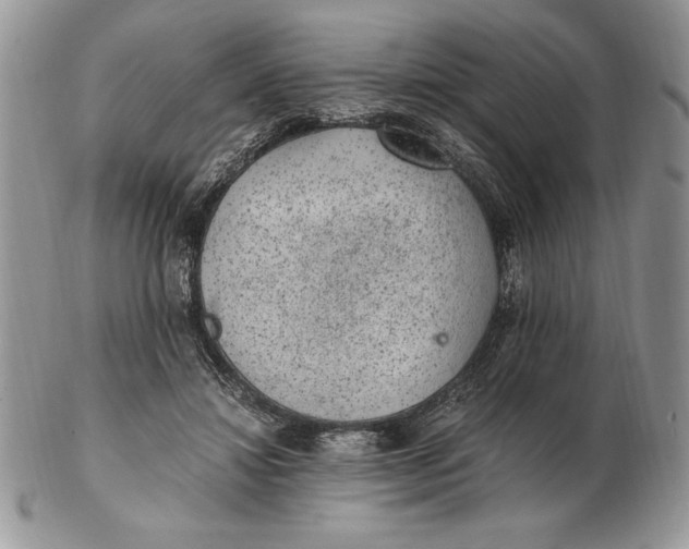 X0000102380452200808221806