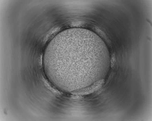 X0000102380454200808221806