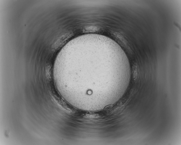 X0000102380455200808221806