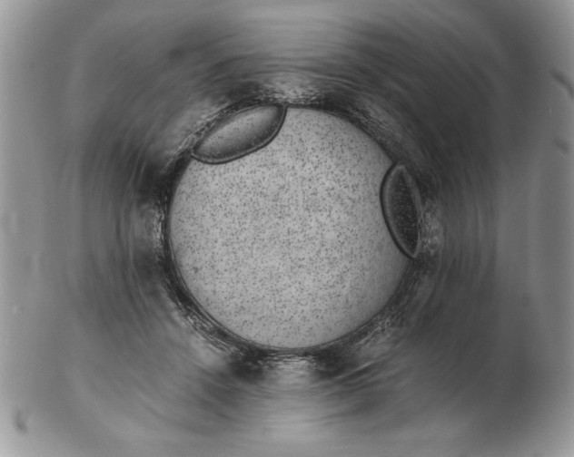 X0000102380456200808221806