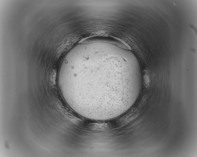 X0000102380458200808221806