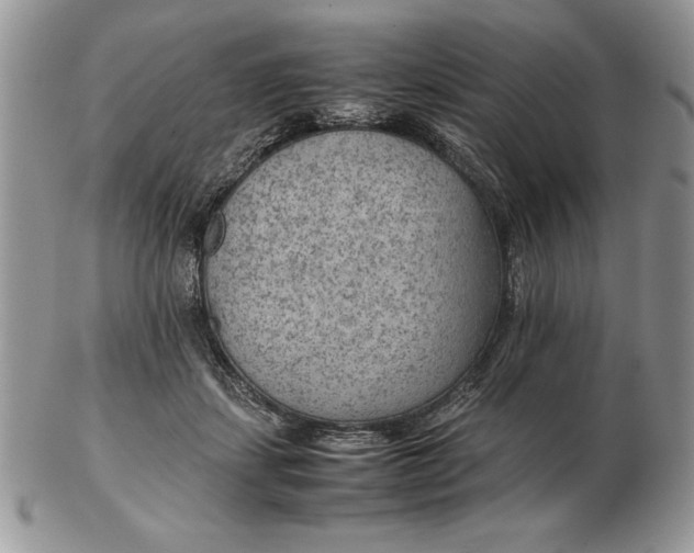 X0000102380459200808221806