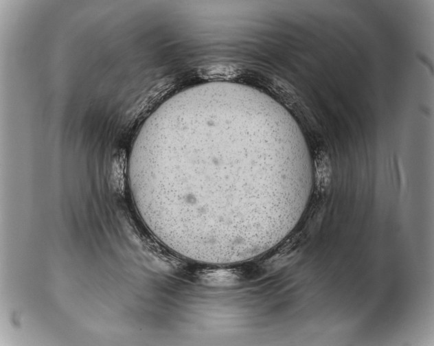 X0000102380460200808221806