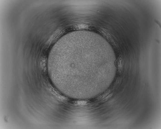 X0000102380462200808221806