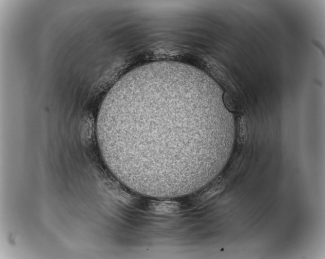 X0000102380463200808221806