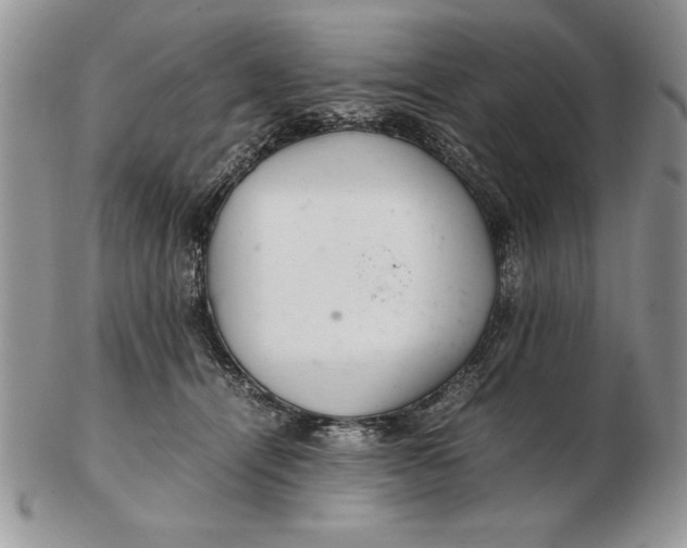 X0000102380464200808221806