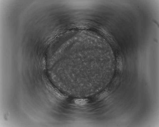 X0000102380465200808221806