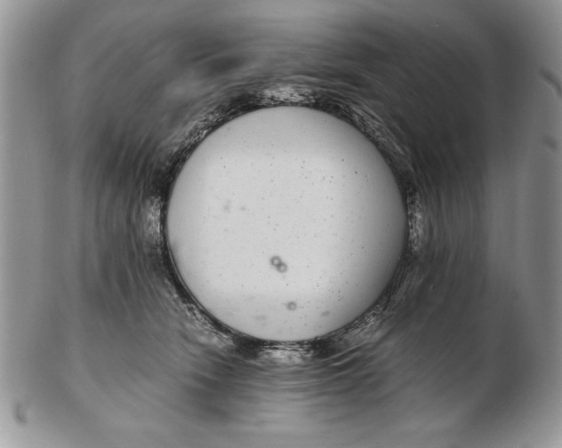 X0000102380466200808221806