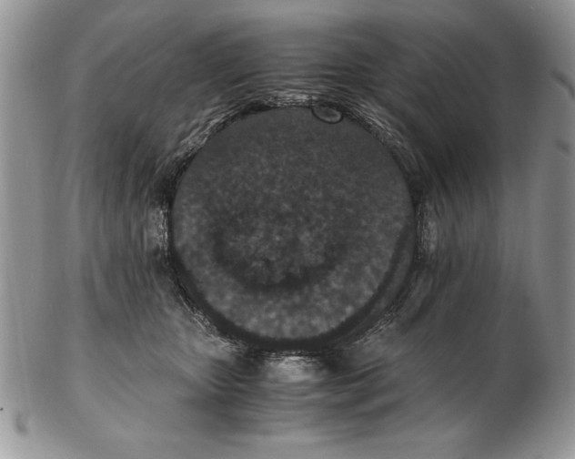 X0000102380467200808221806