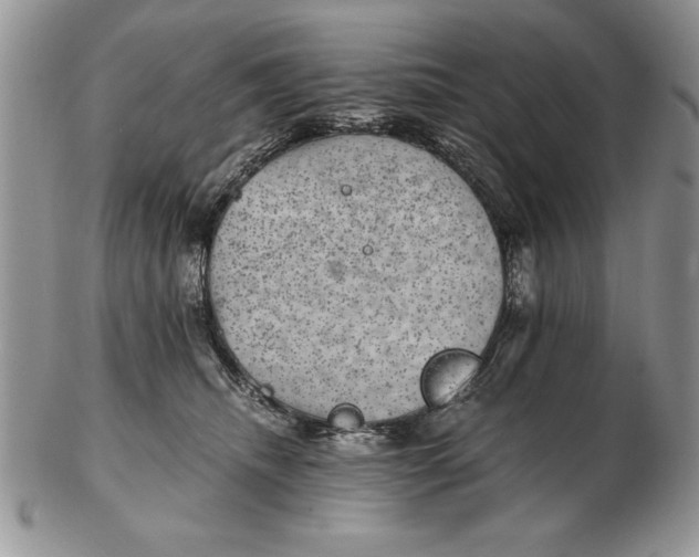 X0000102380468200808221806