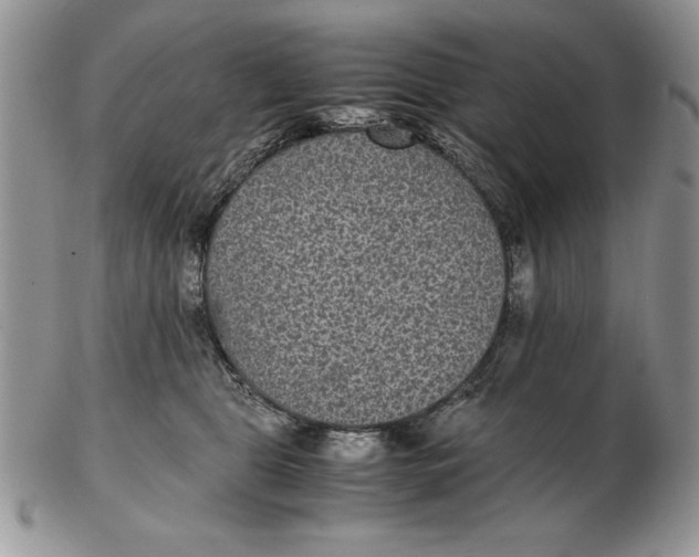 X0000102380469200808221806