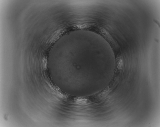 X0000102380471200808221806