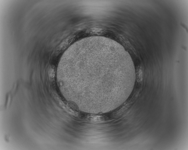 X0000102380472200808221806