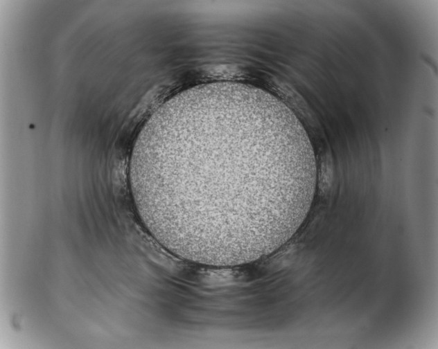 X0000102380473200808221806