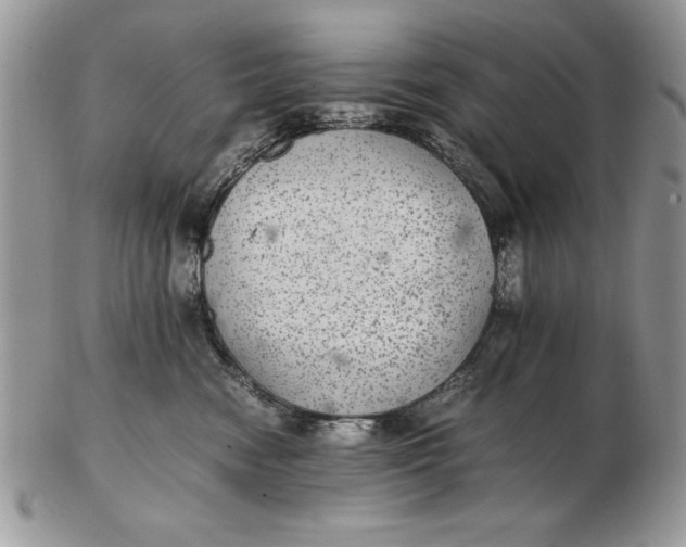 X0000102380474200808221806