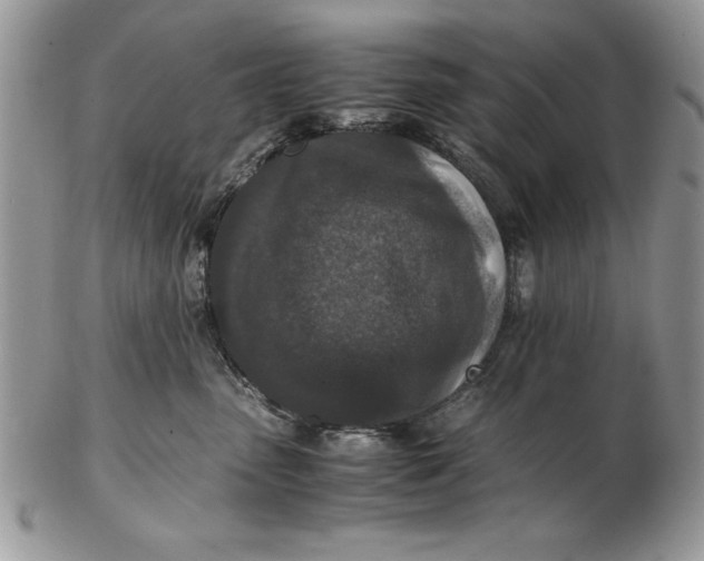 X0000102380475200808221806