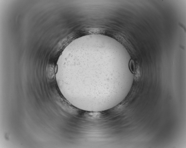 X0000102380478200808221806