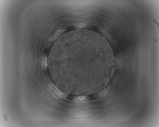 X0000102380479200808221806