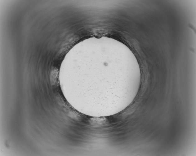 X0000102380480200808221806