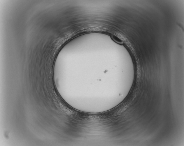 X0000102380481200808221805