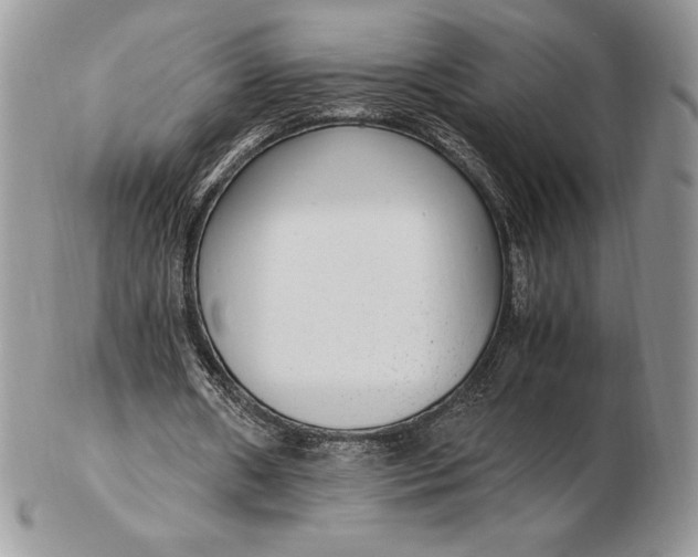 X0000102380482200808221805