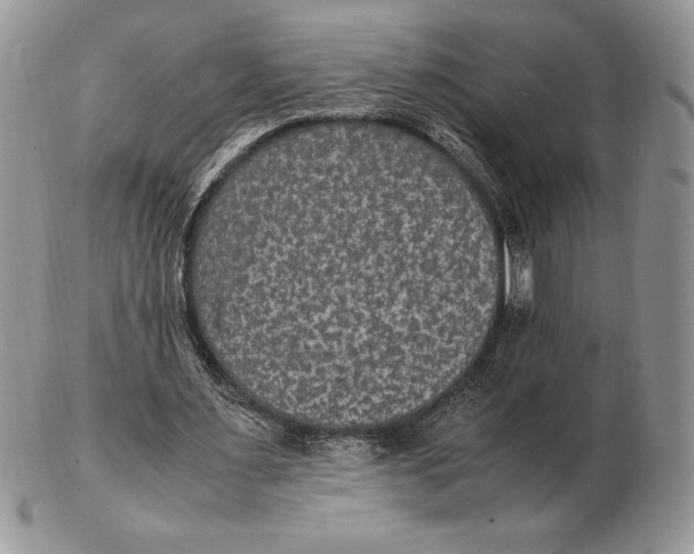 X0000102380483200808221805