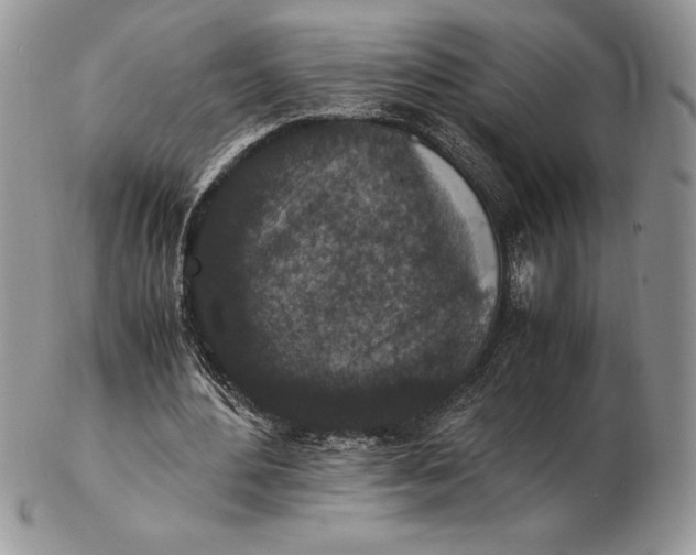 X0000102380484200808221805