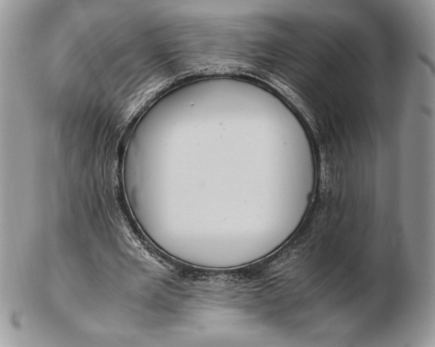 X0000102380485200808221805