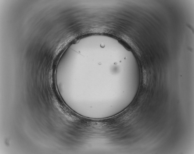 X0000102380486200808221805