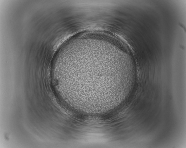 X0000102380487200808221805