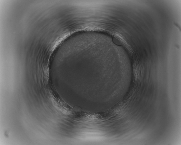 X0000102380488200808221805