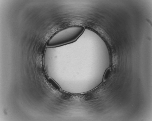 X0000102380489200808221805