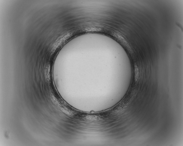 X0000102380490200808221805